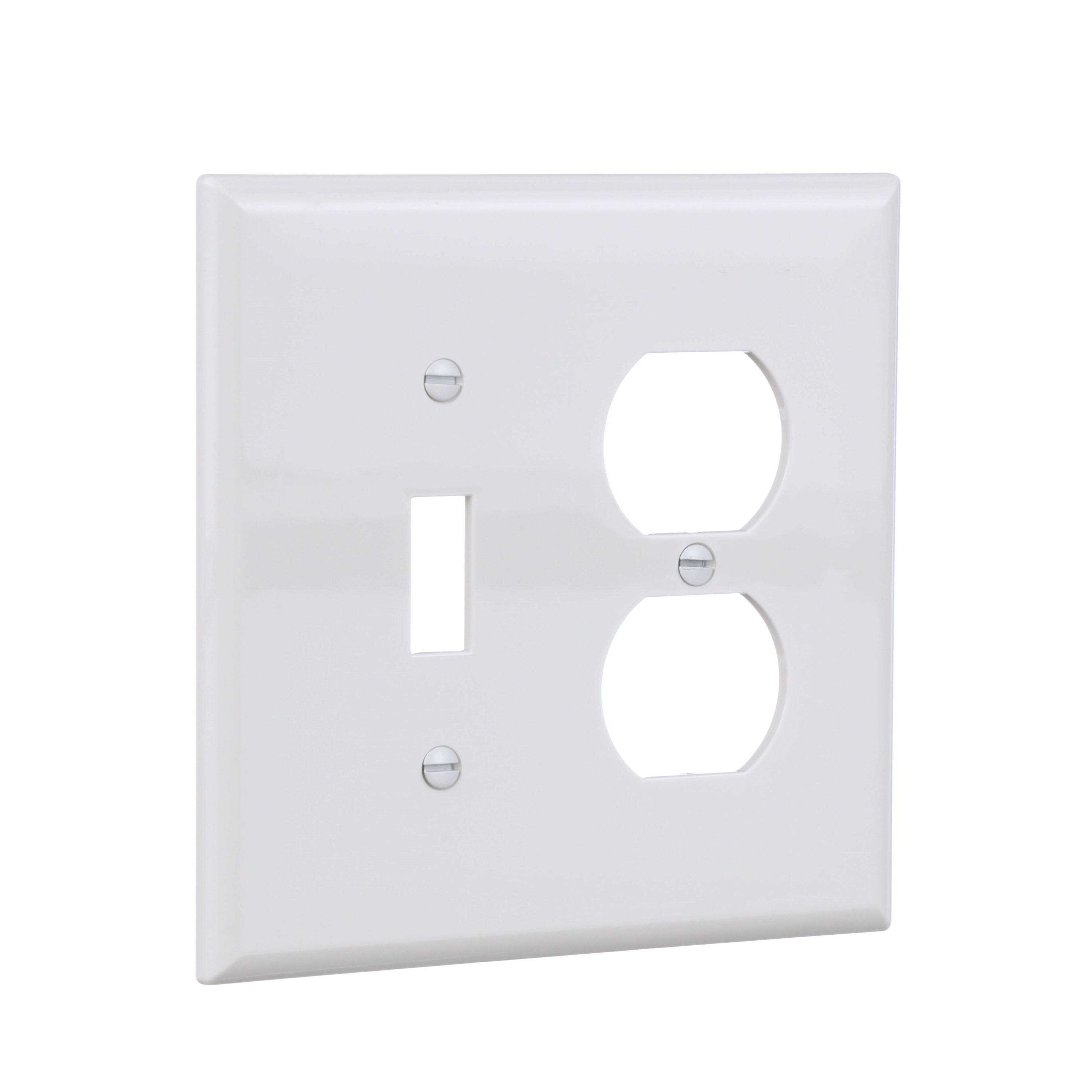 Eaton 2-Gang Midsize Toggle/Duplex Wall Plate - Cheap Fitting