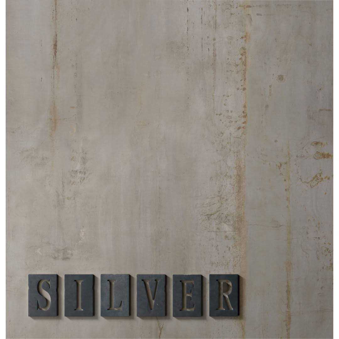 Bedrosians Rebel 12 x 24 Floor & Wall Tile - Cheap Fitting