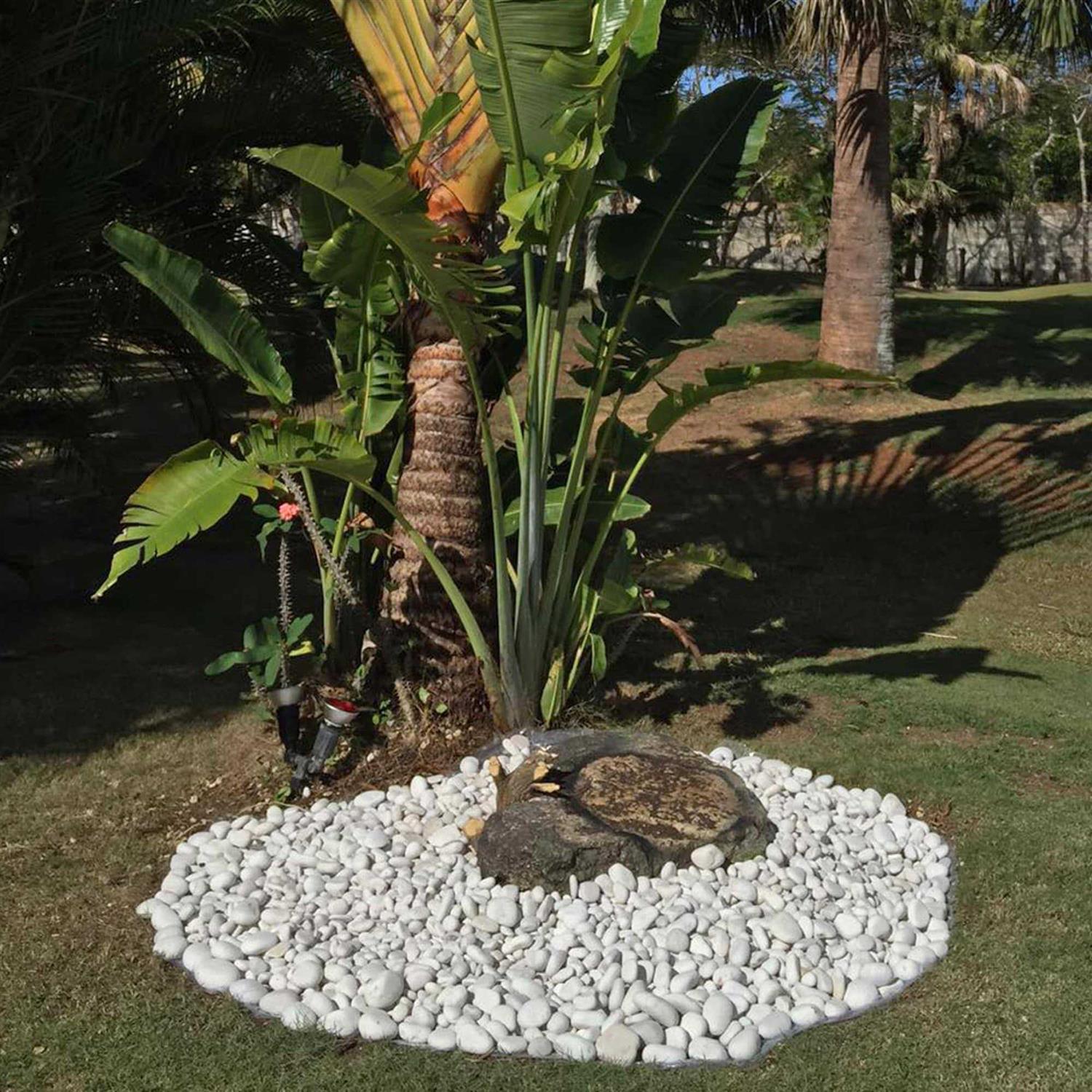 Rainforest Outdoor Decorative Pebbles - Cheap Fitting