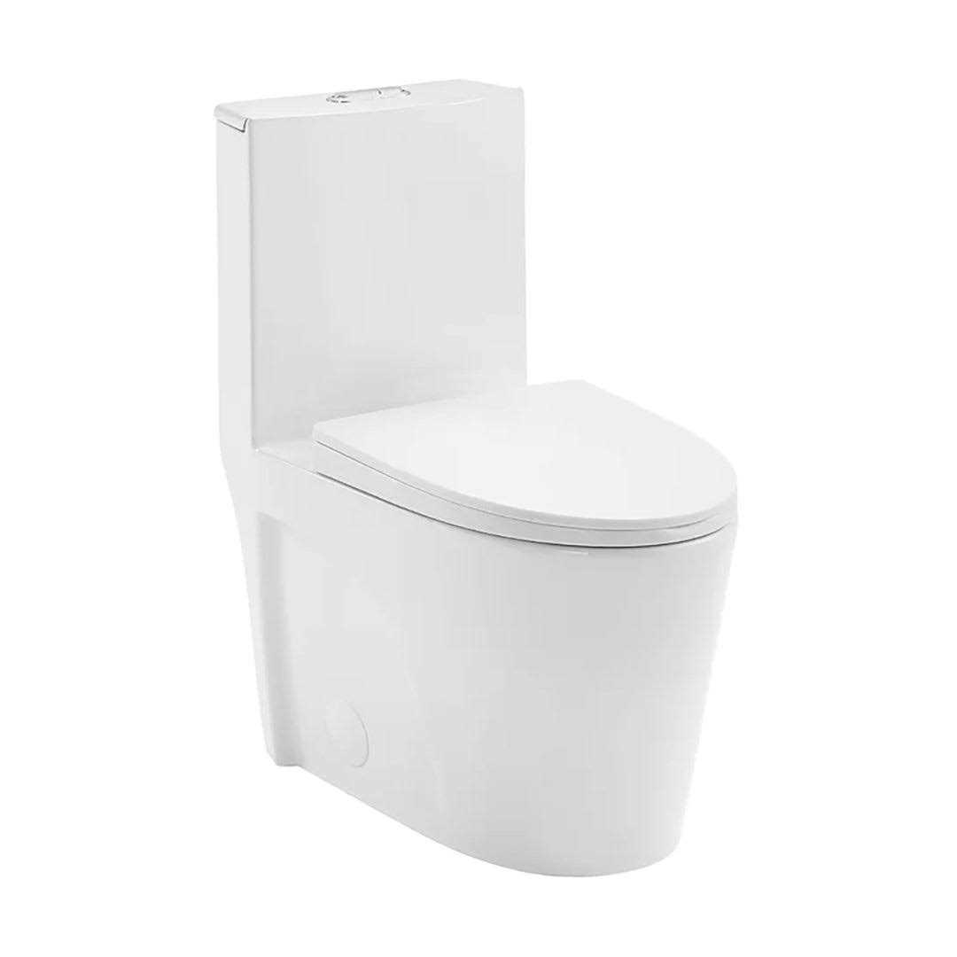 DeerValley DV-1F52102 Ace 1.6 GPF Dual-Flush Elongated One-Piece Toilet - Cheap Fitting