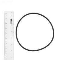 Pentair 357255 Lid O-Ring - Cheap Fitting