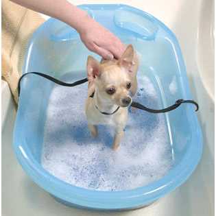 Pet Gear Pup Tub - Cheap Fitting