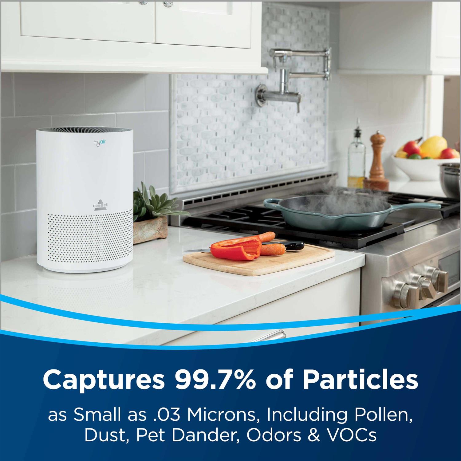 BISSELL MyAir Filter Bundle | B0187 - Cheap Fitting