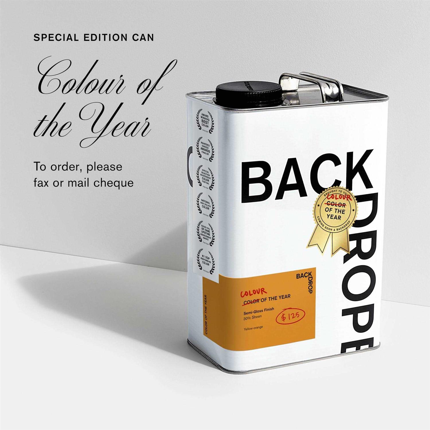 BACKDROP COLOR OF THE YEAR Paint / Half Gallon - Cheap Fitting