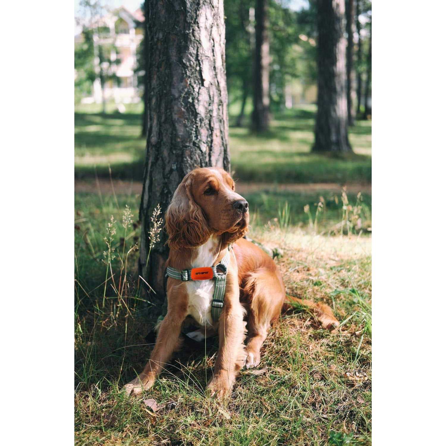 Spy Spot Waterproof Small Pouch with Zipper Oxford Thick Fabric Multi-purpose Bag with Loop Attachment - Cheap Fitting