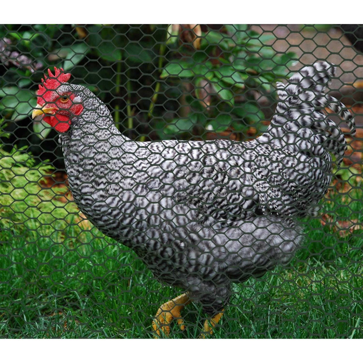 BOEN Poultry Hex Netting - Cheap Fitting