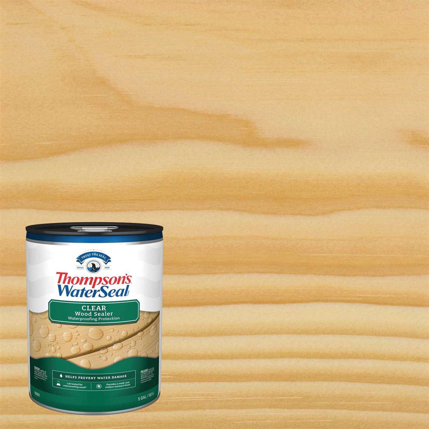 Thompson’s WaterSeal Clear Exterior Wood Stain and Sealer - Cheap Fitting