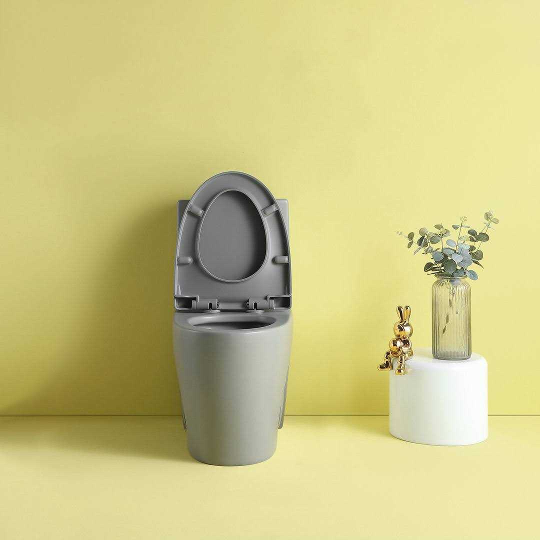 Abruzzo Dual-Flush Elongated One-Piece Toilet - Cheap Fitting