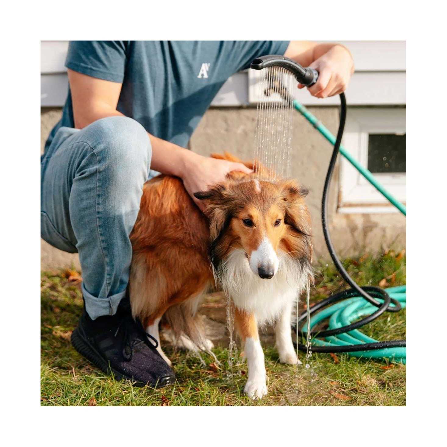 Waterpik Pet Wand Pro - Cheap Fitting