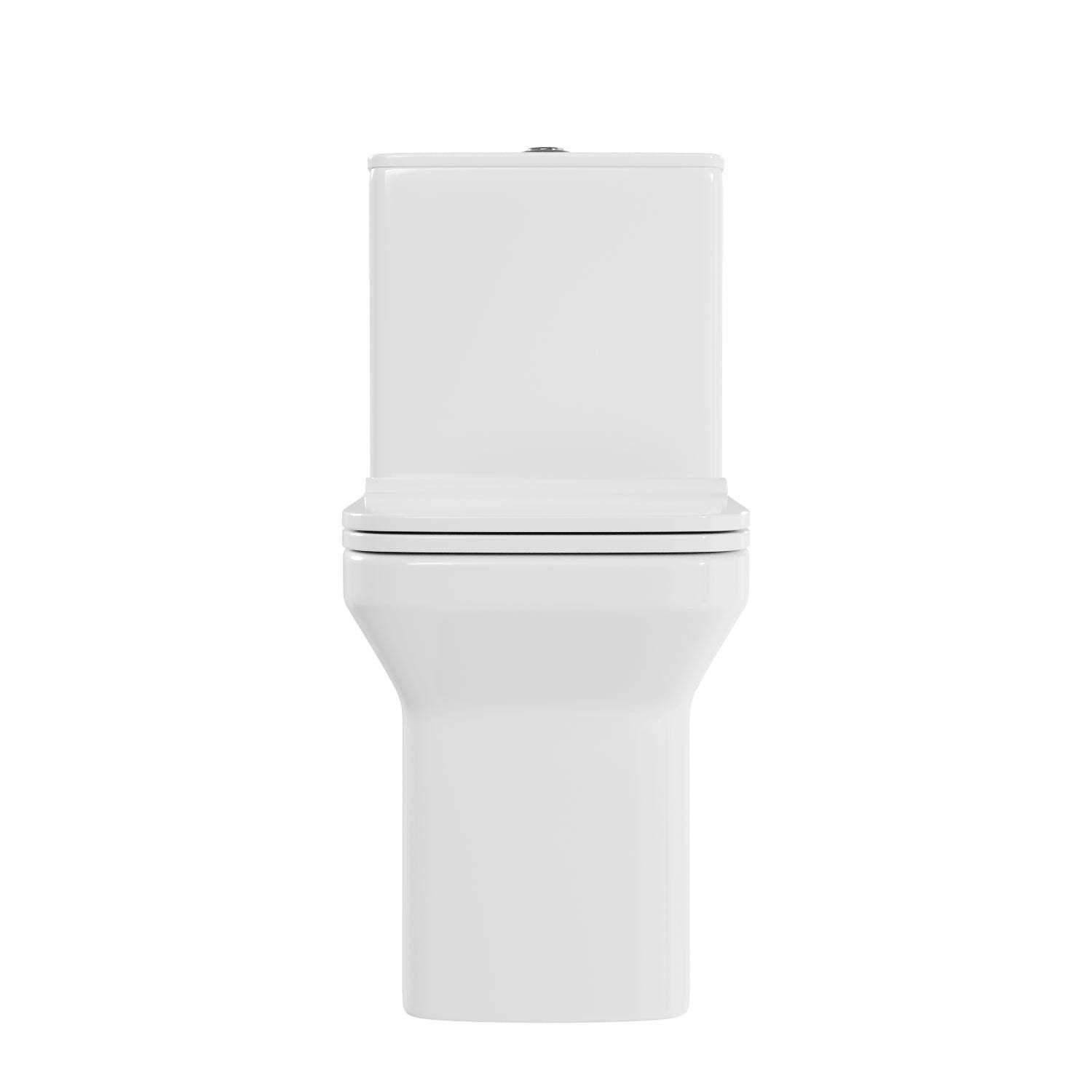 DeerValley Ace One-Piece 0.8/1.28 GPF Dual-Flush Rectangular Floor Mounted Toilet - Cheap Fitting