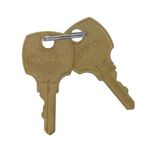 Honeywell 191990A Set Of 2 Replacement Keys For TG509 - Cheap Fitting