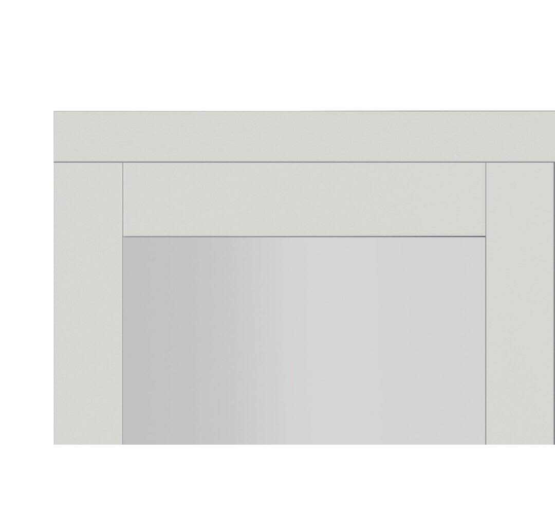 Euro 1-Lite Design Pivot Door Renin - Cheap Fitting