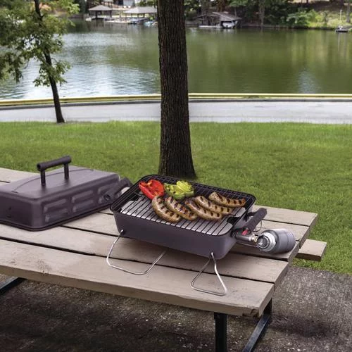 Char-Broil® Deluxe Portable Gas Grill - Cheap Fitting