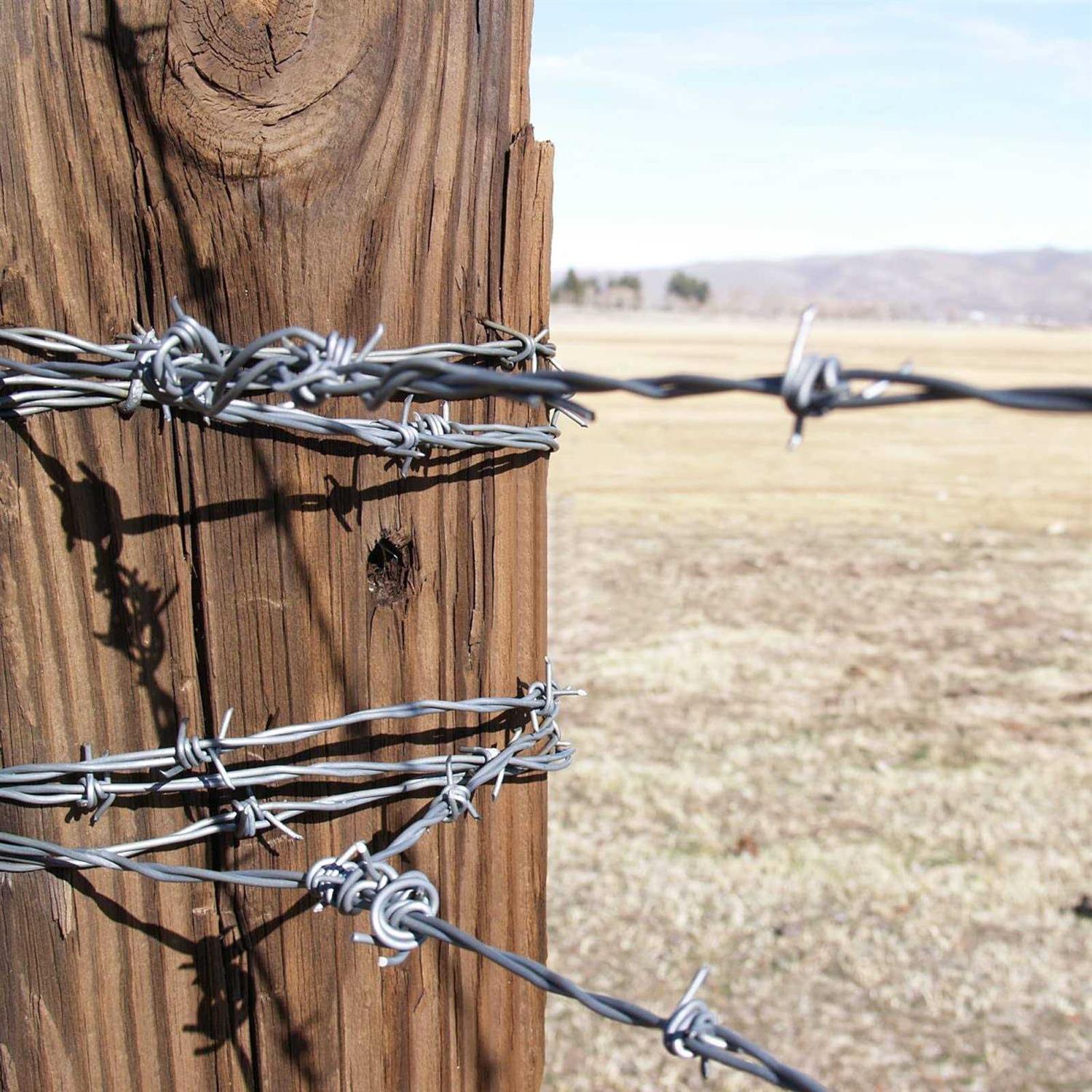 AccEncyc Wire Staples Steel Fence Staple Nails U Shaped Nails U Staples for Fencing - Cheap Fitting