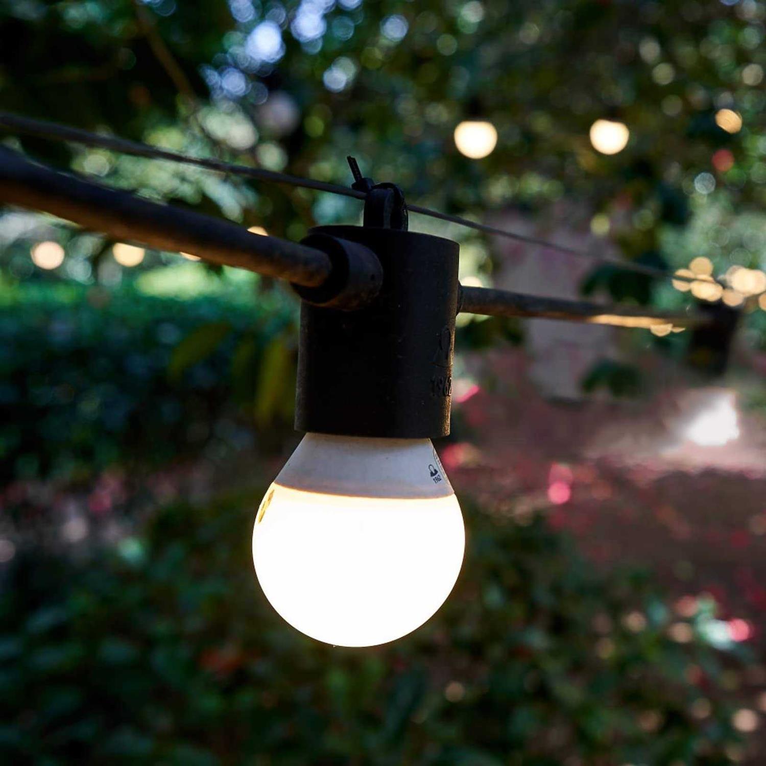 AccEncyc 100Ft Wire Rope Black Vinyl Coated 304 Stainless Steel Wire Rope for Outdoor Light 2 mm Outdoor Light Guide Wire with 50 Pcs Alloy Sleeves - Cheap Fitting