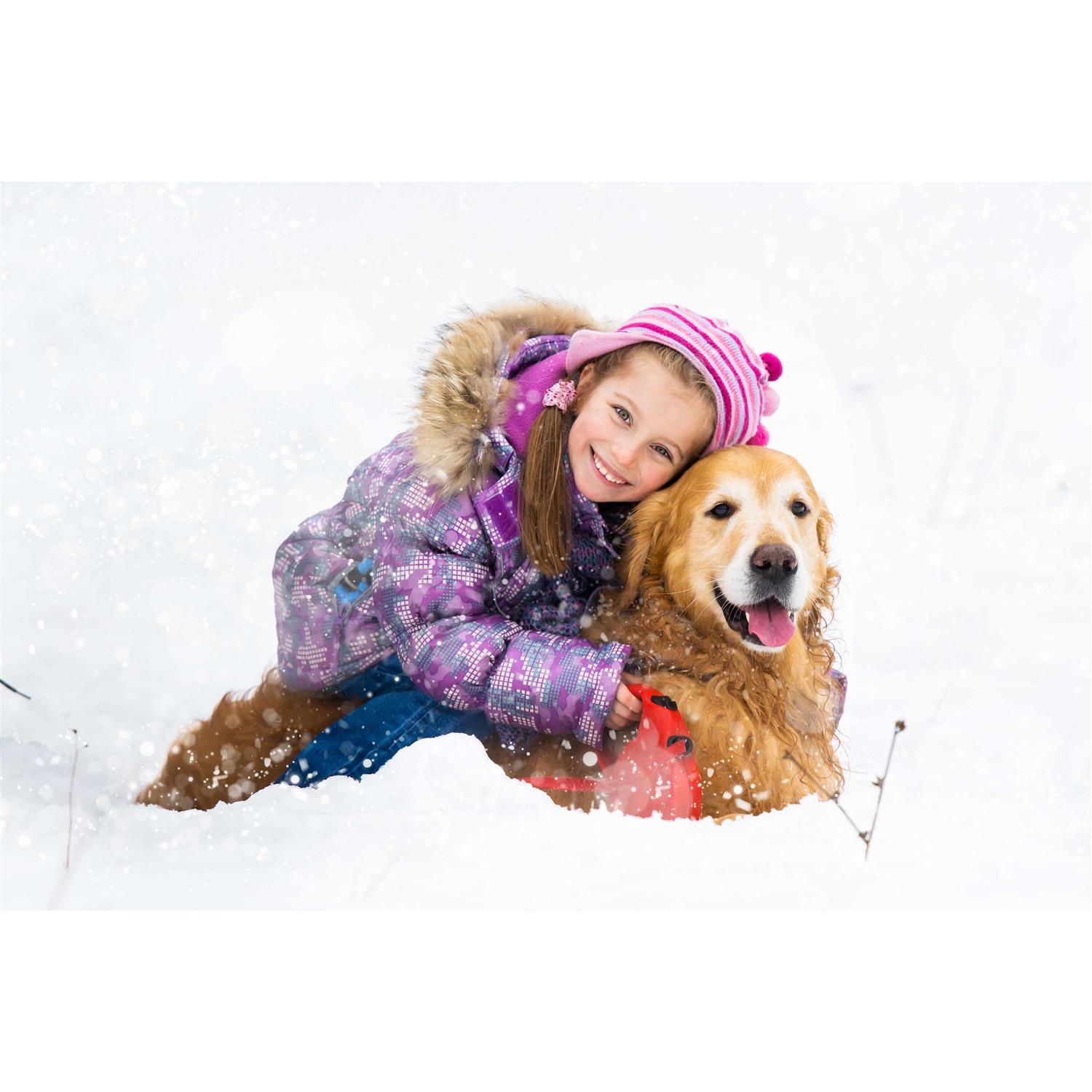 Road Runner Pet Friendly Ice Melt - Cheap Fitting