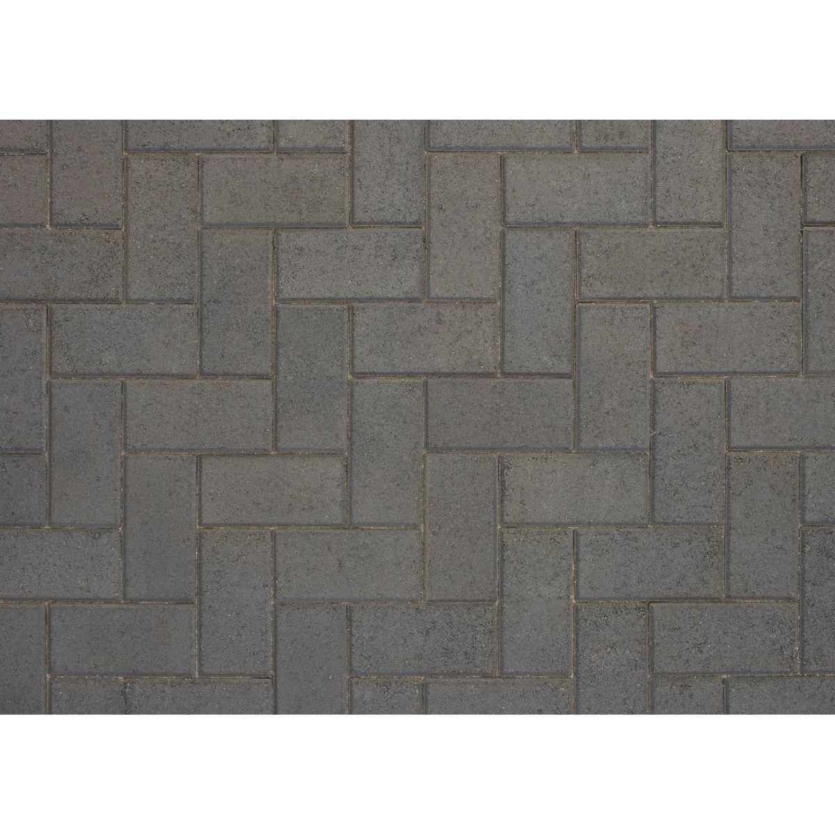 Orco 8-in L x 4-in W x 2.36-in H Rectangle Charcoal Concrete Paver 595963700L - Cheap Fitting