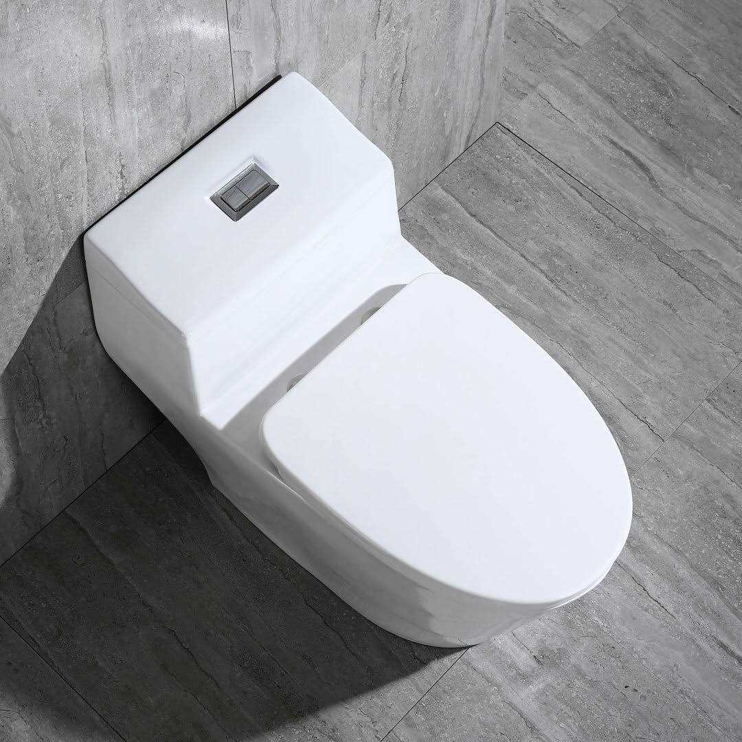 WOODBRIDGE 1-Piece 1.28 GPF Dual Flush Elongated Toilet - Cheap Fitting
