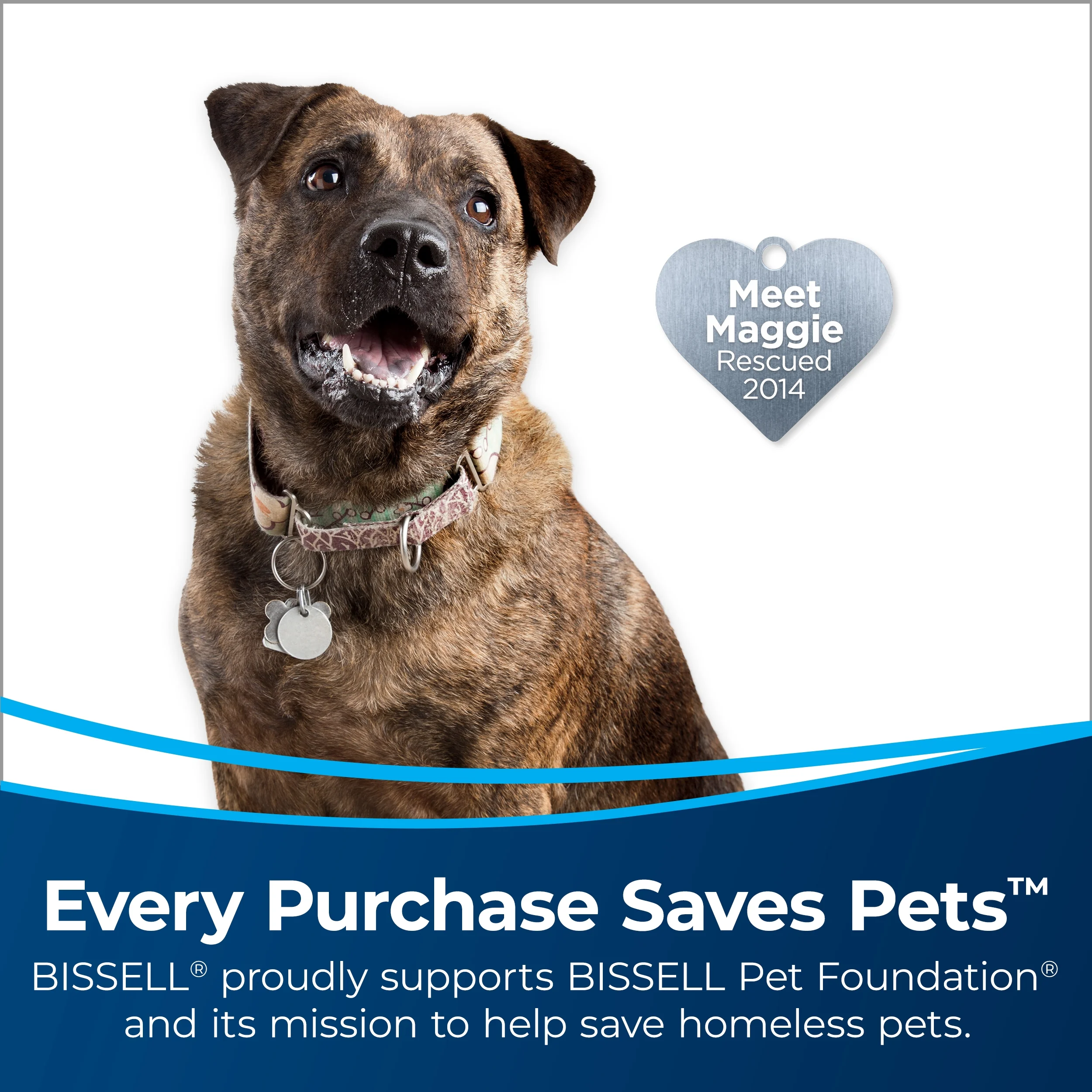 BISSELL Pet Hair Eraser Turbo Bagless Upright Vacuum, 2475 - Cheap Fitting