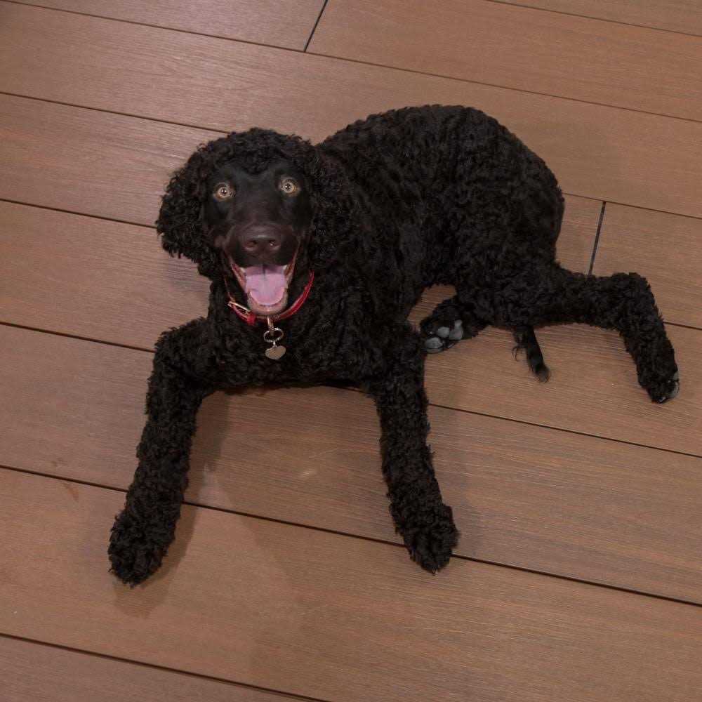 masterapartm Cali Bamboo 7502004300 TruOrganics 3G 16 Foot Long Bamboo Composite Decking Plan - Cheap Fitting