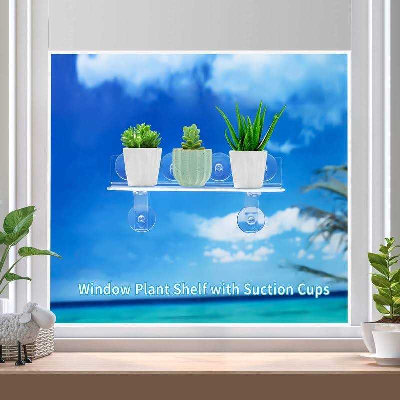 Generic 15 Inch Suction Cup Shelf for Plants Window 6IN Extra Wide with Load-Bearing Brackets Window Shelf for Plants - Cheap Fitting
