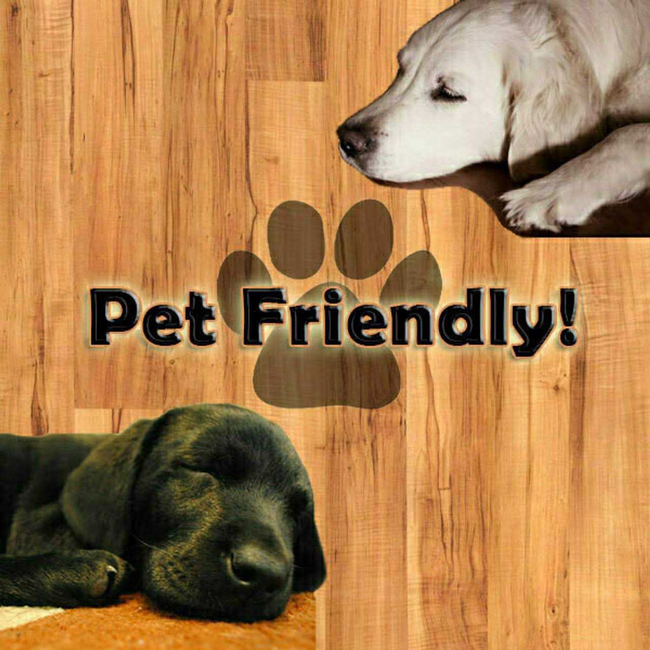 Shaw Floors Vinyl Flooring Prodigy HDR Plus 2038V - Cheap Fitting