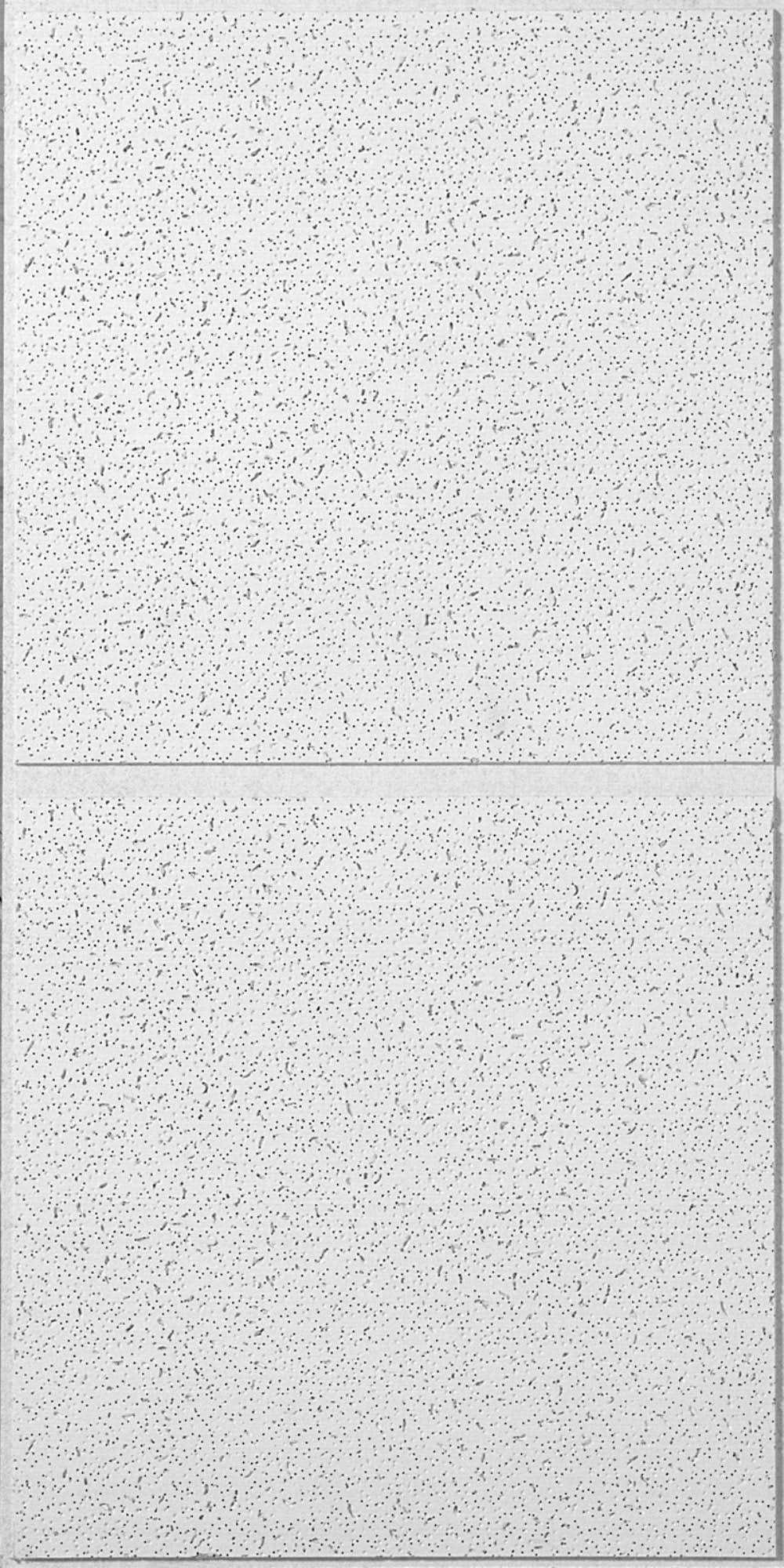 USG R2742N Ceiling Panel 4 ft L 2 ft W - Cheap Fitting