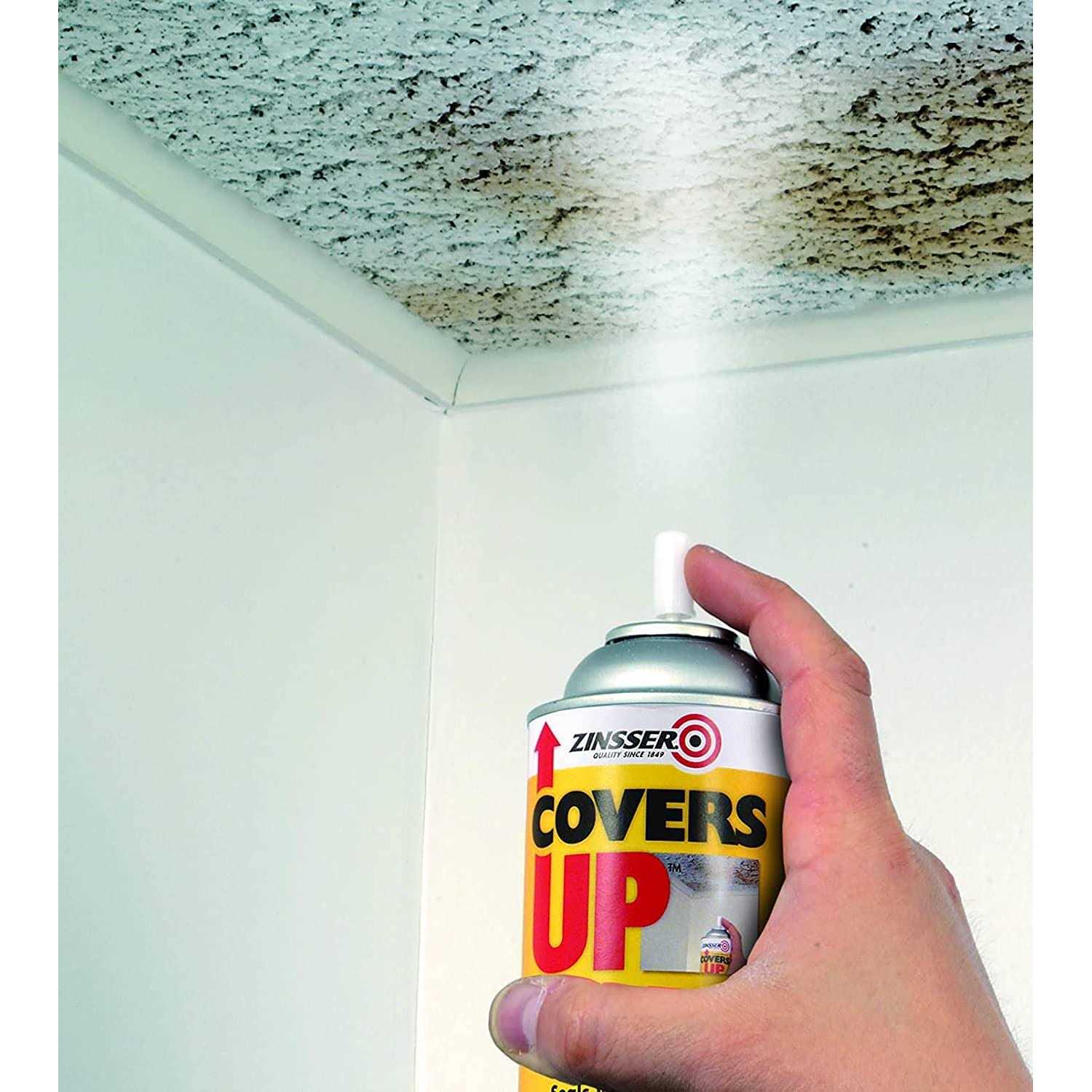 Zinsser Covers Up Ceiling Paint/Primer In One - Cheap Fitting