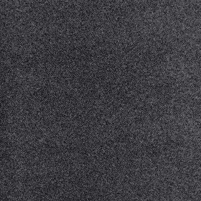 TrafficMaster Seafront 6 ft. SD Polyester Texture Indoor/Outdoor Boat Carpet - Cheap Fitting