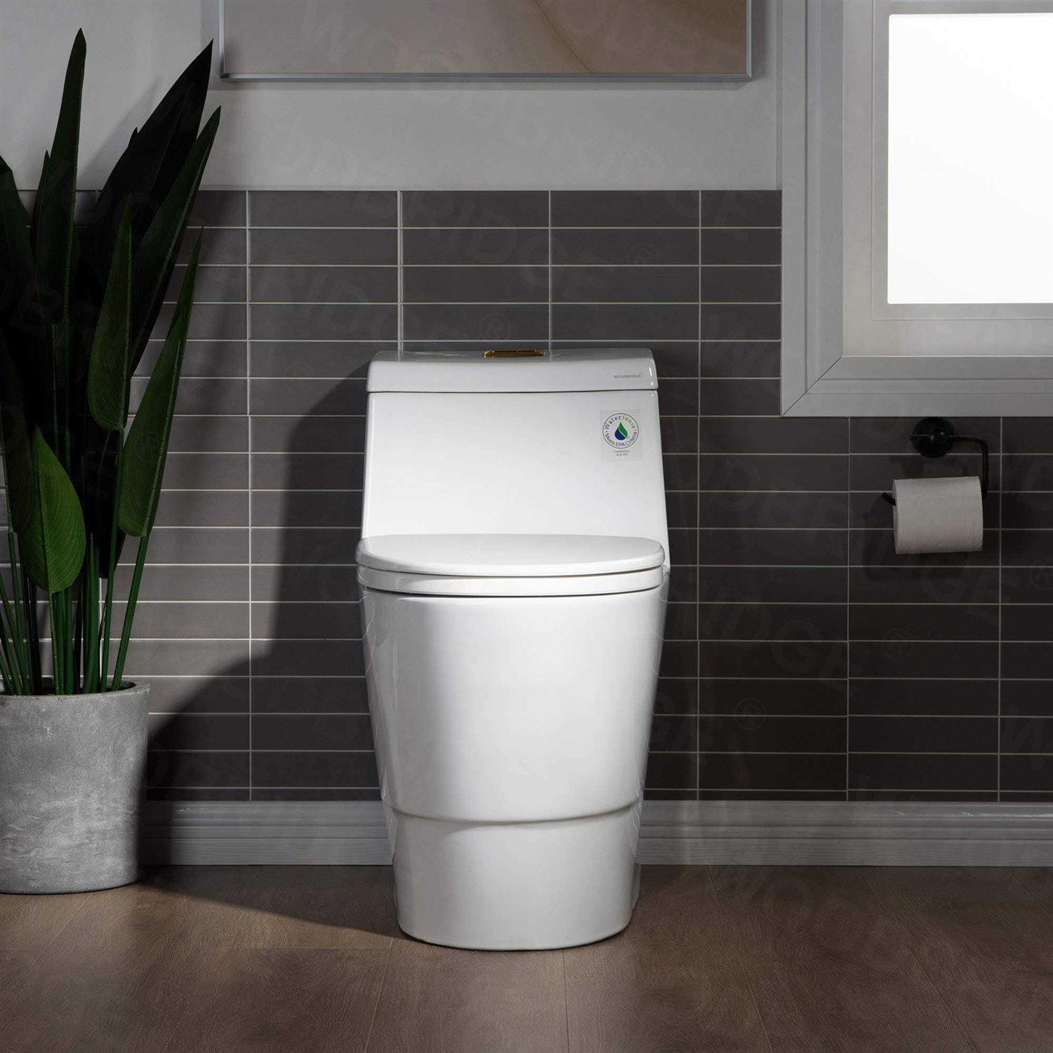 WoodBridge B0940 Dual-Flush Elongated One-Piece Toilet Finish - Cheap Fitting