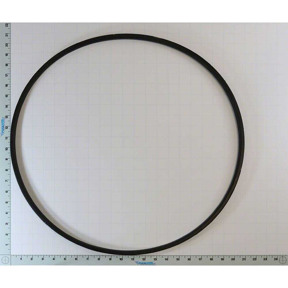 Hayward DEX2422Z2 Metal Reinforced Filter Seal - Cheap Fitting