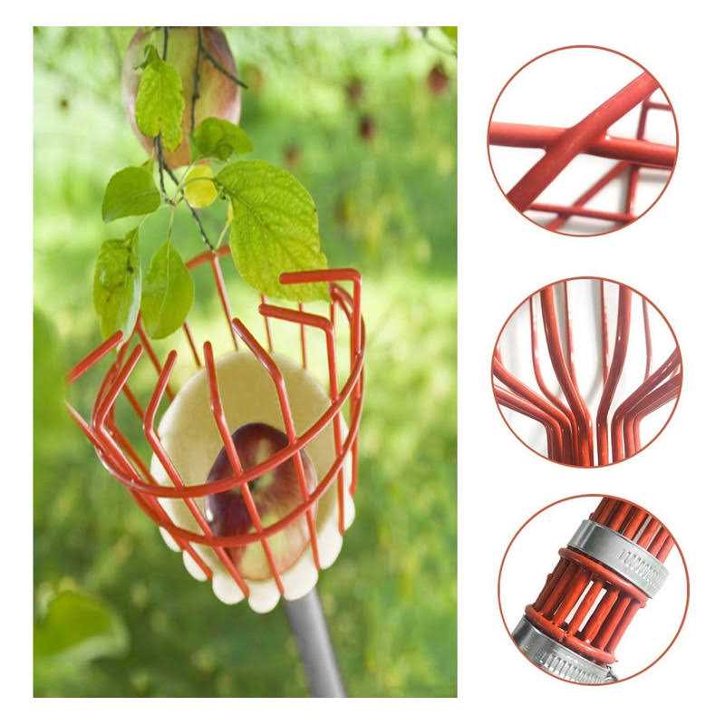 Coconut Fruit Picker Tool Fruit Picker Pole with Basket - Cheap Fitting