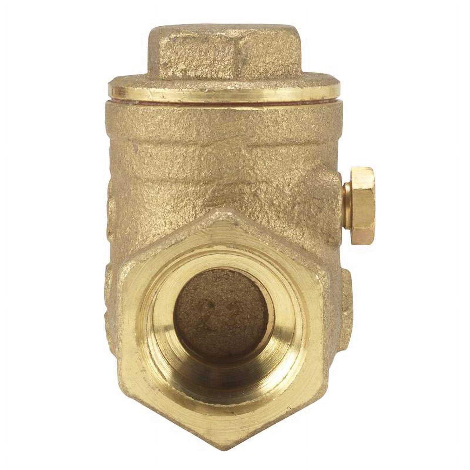 Homewerks Brass Swing Check Valve - Cheap Fitting