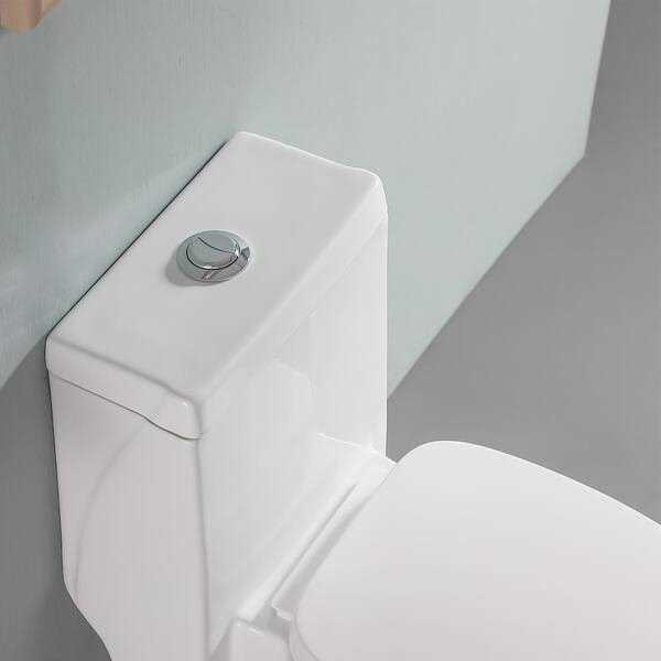 12 in. Rough-in 1-piece 1.6/1.1 GPF Dual Flush High Efficiency Elongated Toilet in White Seat Included - Cheap Fitting