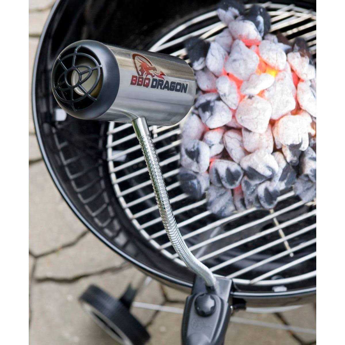 BBQ Dragon Firestarter Fan - Cheap Fitting