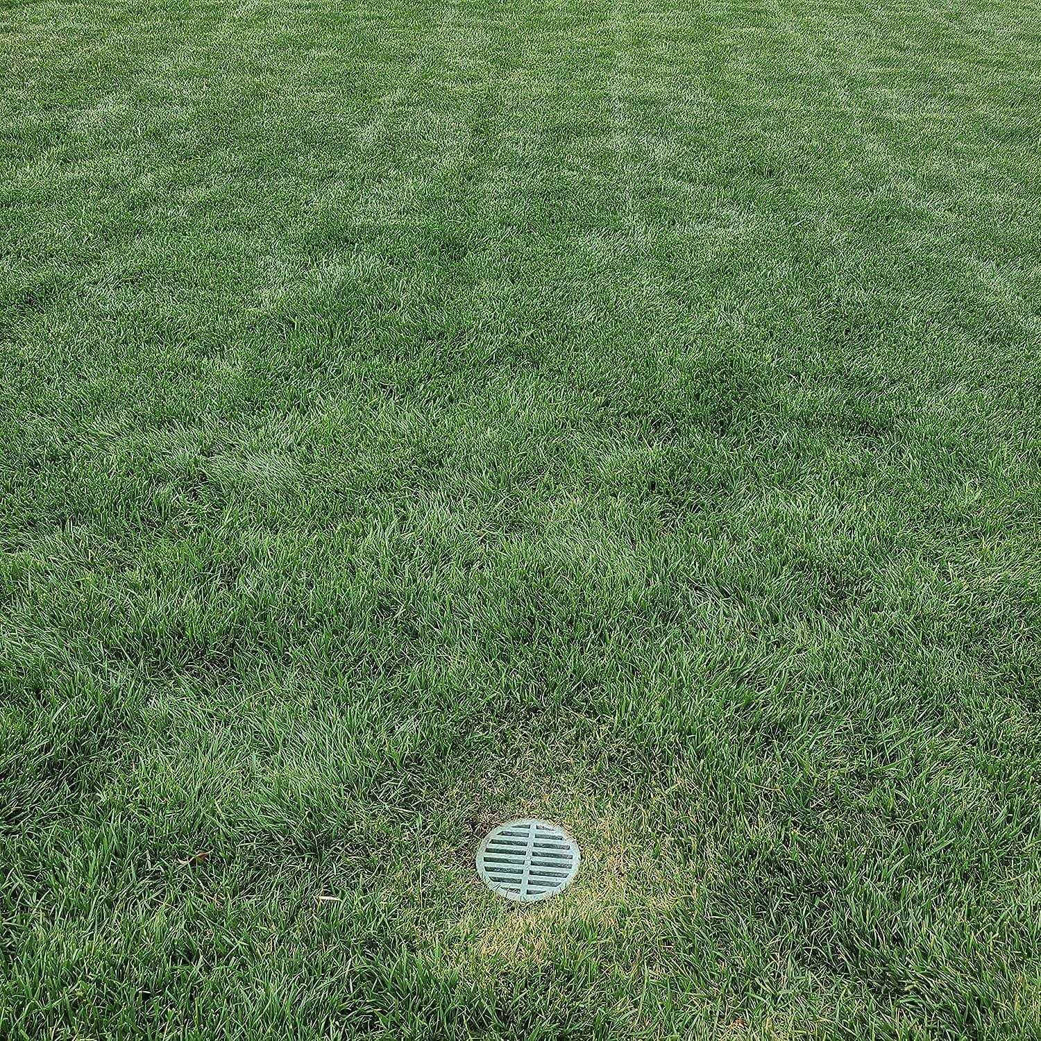 Premium USA Made Outdoor Round Flat Drain Grate Cover - Cheap Fitting