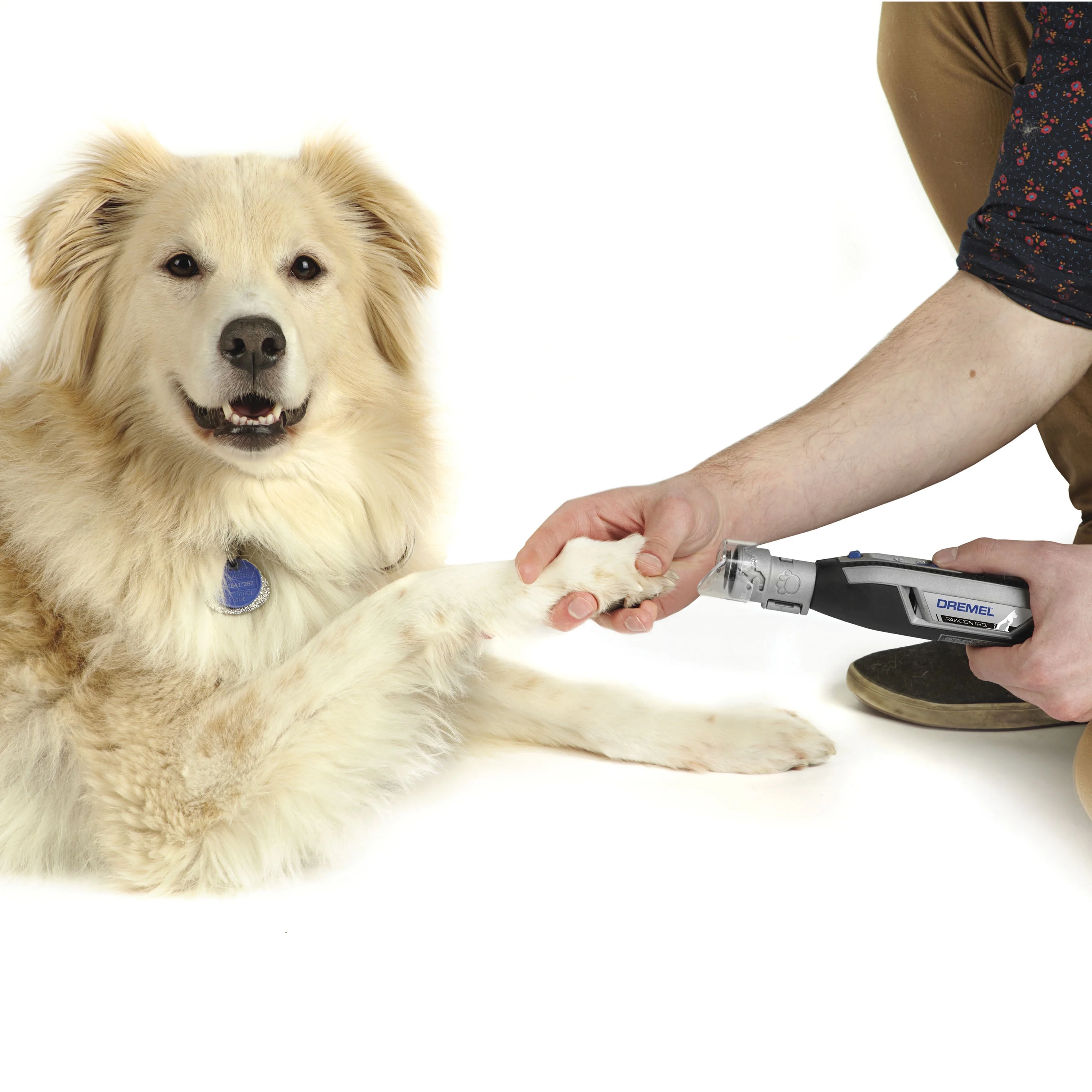 Dremel 7760-PGK 4 Volt Cordless Rotary Dog and Cat Pet Nail Grooming Kit with 10 Additional Grooming Disks - Cheap Fitting
