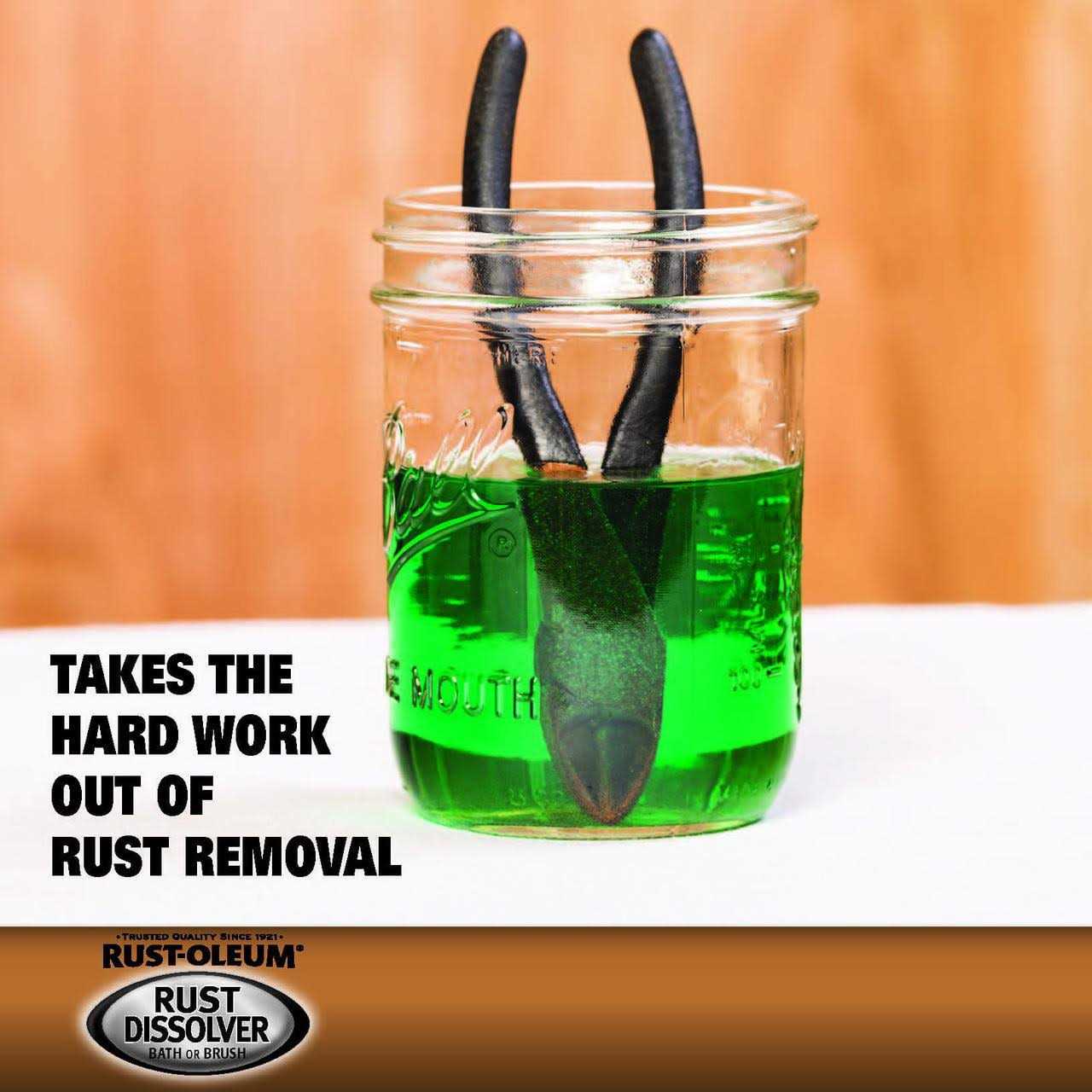 Rust-Oleum Rust Dissolver 293617 - Cheap Fitting