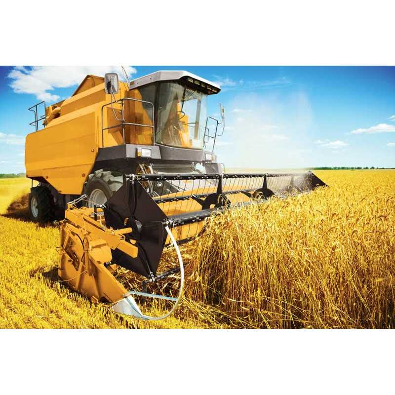 Ace Rust Stop Gloss Spray Paint 15 oz - Cheap Fitting