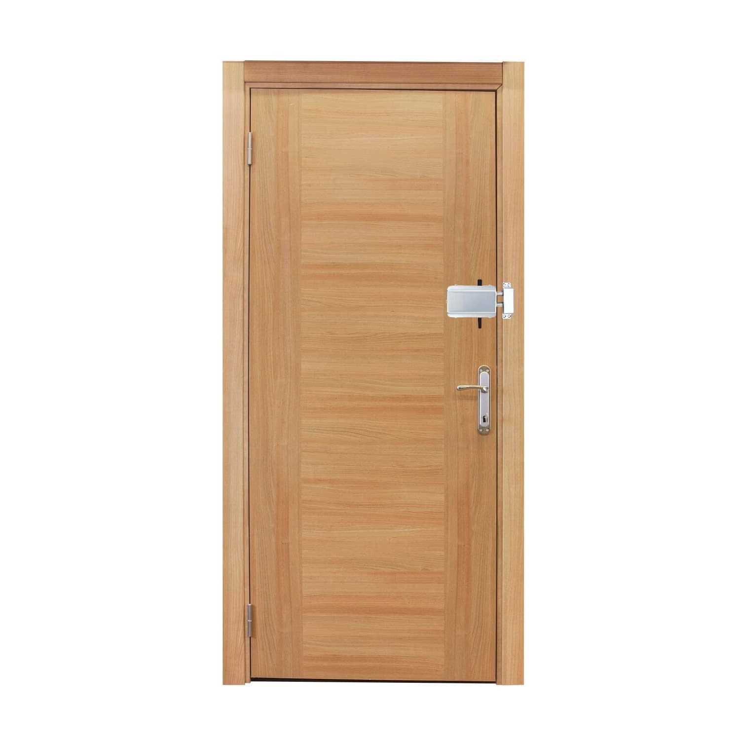 Electronic Deadbolt Door Lock, Remote Control Door Lock Anti-Theft Home Security Keyless Smart Hidden Door Lock with Remote Control and Smartphone - Cheap Fitting