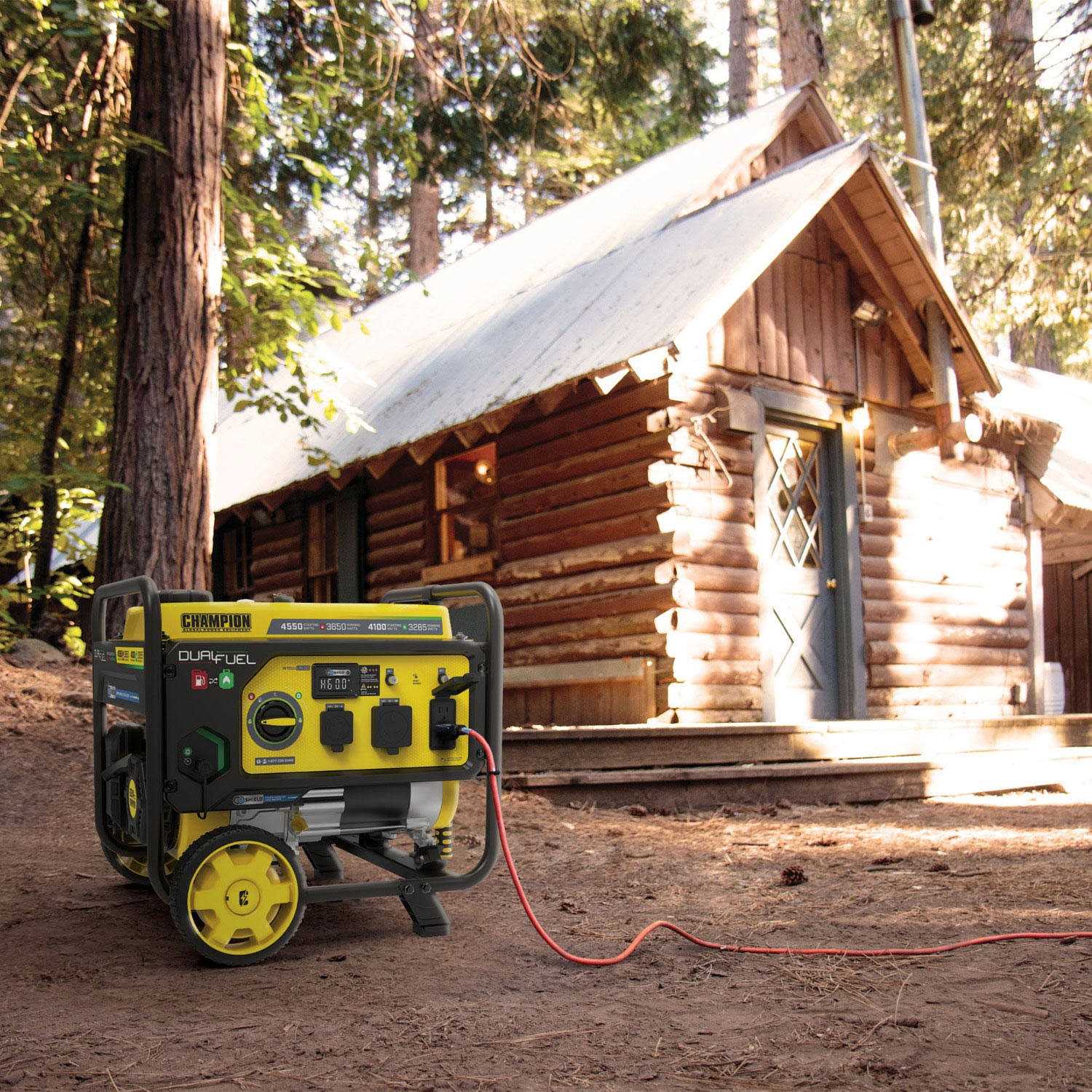 Champion Power Equipment 3650 W Dual Fuel Generator - Cheap Fitting