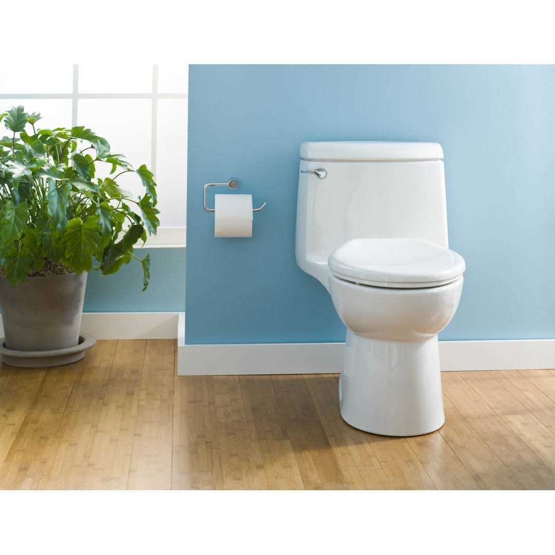 American Standard Champion-4 One-Piece Elongated Toilet - Cheap Fitting