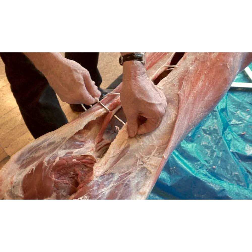 Spitjack 7 inch Stainless Steel Meat Trussing Needle and Butcher’s Cooking Twine Bundle - Cheap Fitting