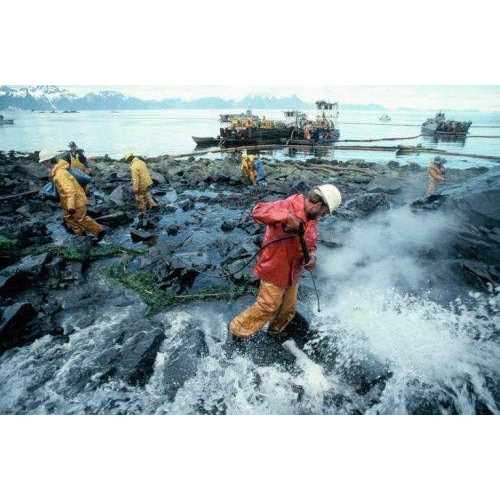 Bio-safe One Inc. Bio-112 Septic Tank Treatment Drain Cleaner - Cheap Fitting