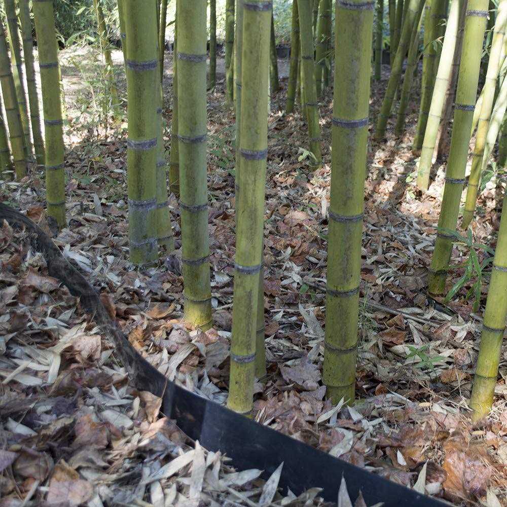 Bamboo Shield 60 Mil Thick Depth - Cheap Fitting