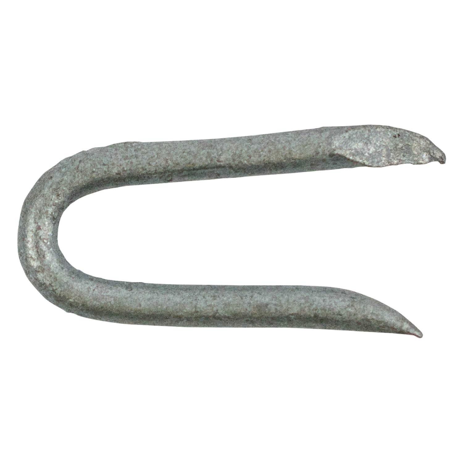 Grip-Rite 3/4 in. Hot-Dip Galvanized Staples - Cheap Fitting