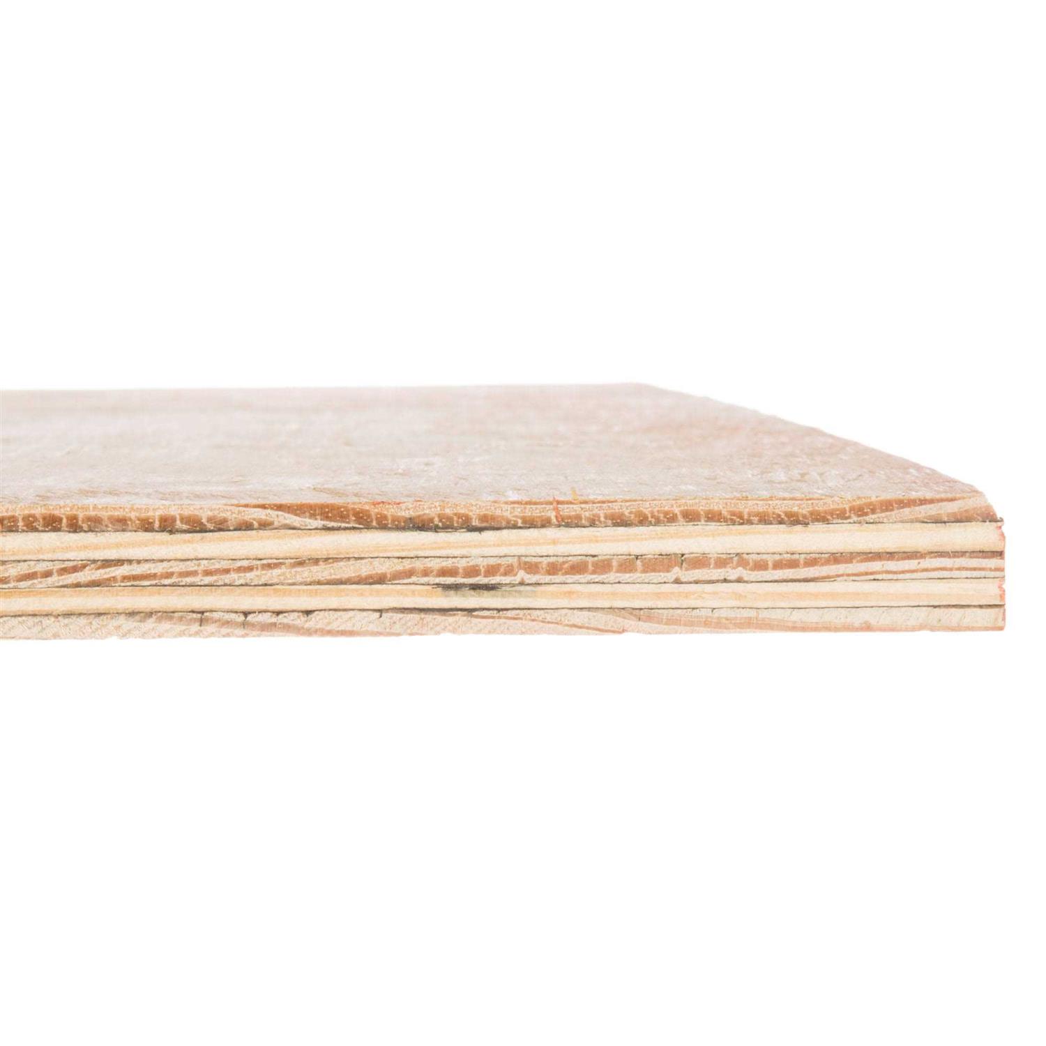 Plytanium 23/32-in x 4-ft x 8-ft Pine Sanded Plywood - Cheap Fitting