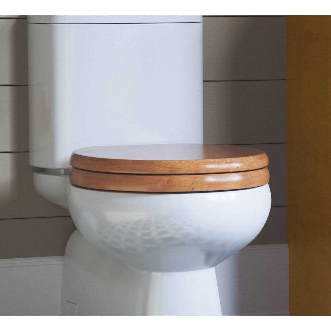 Design House Dalton Round Toilet Seat 561241 - Cheap Fitting