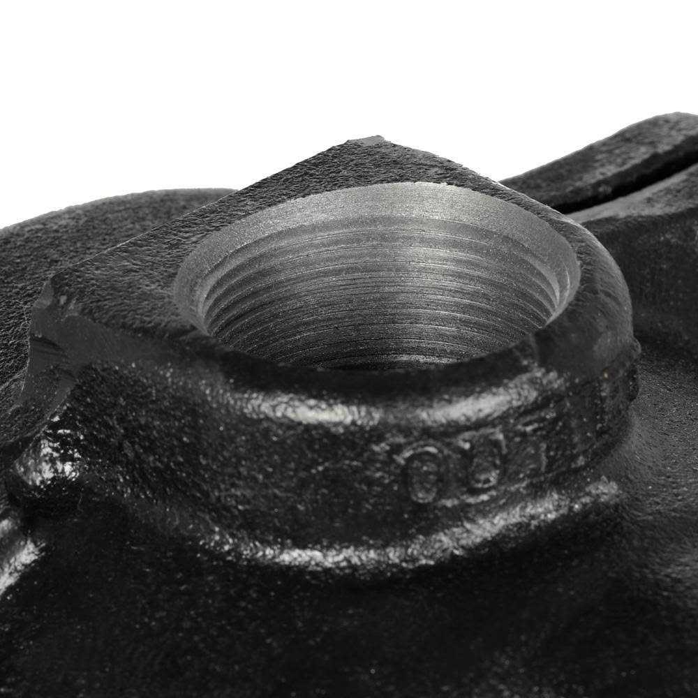 Wayne 1-1/2 HP Cast Iron Lawn Sprinkler Pump WLS150 - Cheap Fitting