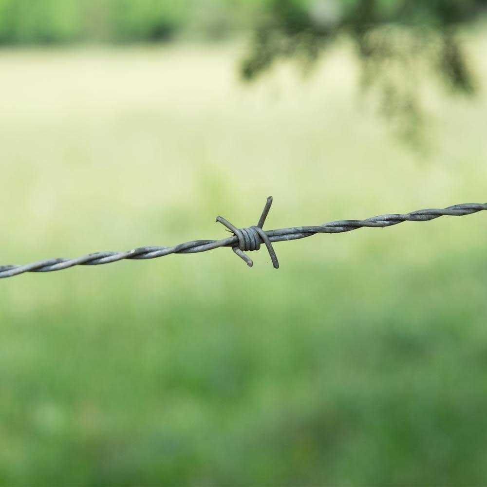 Farmgard 1,320 ft. 15-1/2-Gauge 4-Point High-Tensile Cl3 Barbed Wire - Cheap Fitting